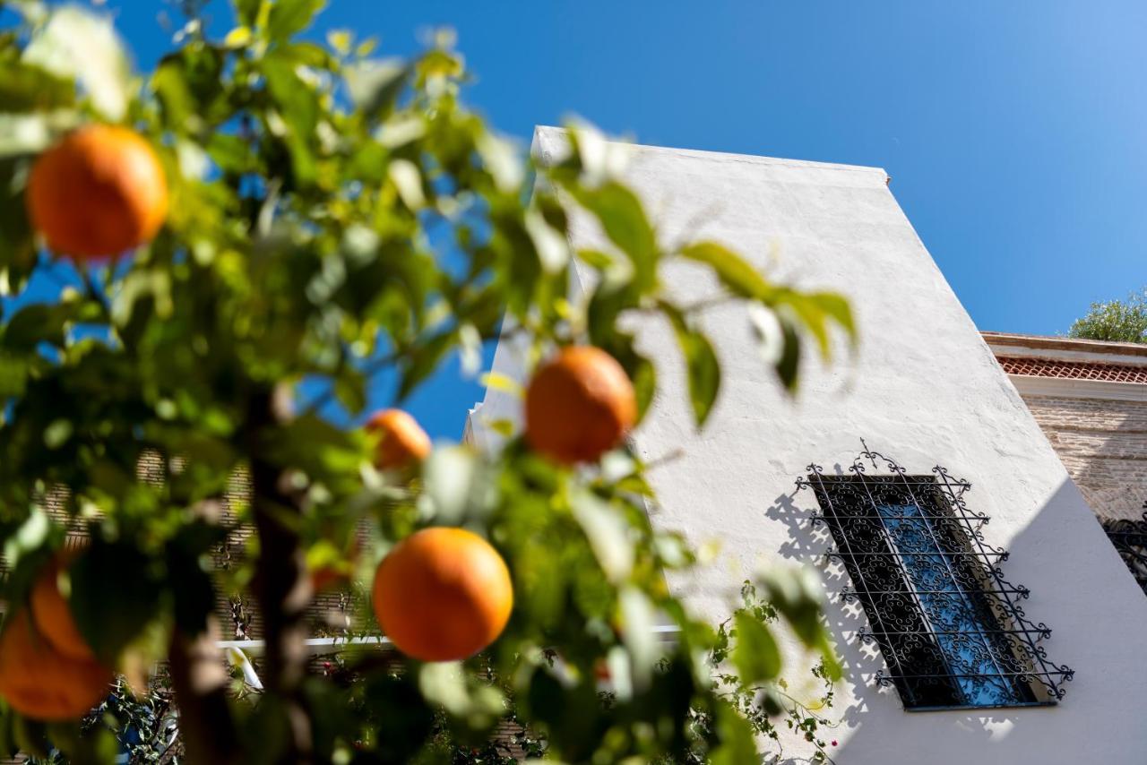 Pajaro Rebelde Bed & Breakfast Sevilla Dış mekan fotoğraf